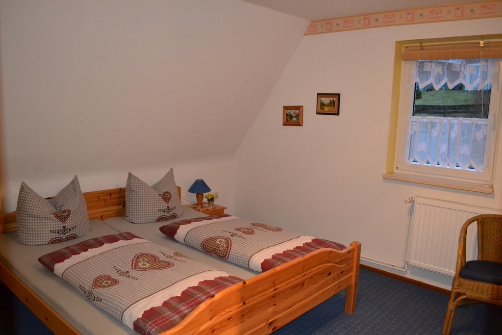 Edelweiss Daire Schulenberg im Oberharz Oda fotoğraf