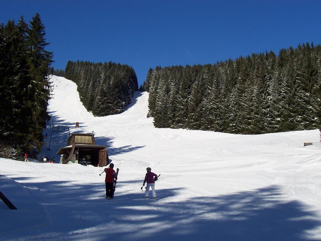 Edelweiss Daire Schulenberg im Oberharz Dış mekan fotoğraf